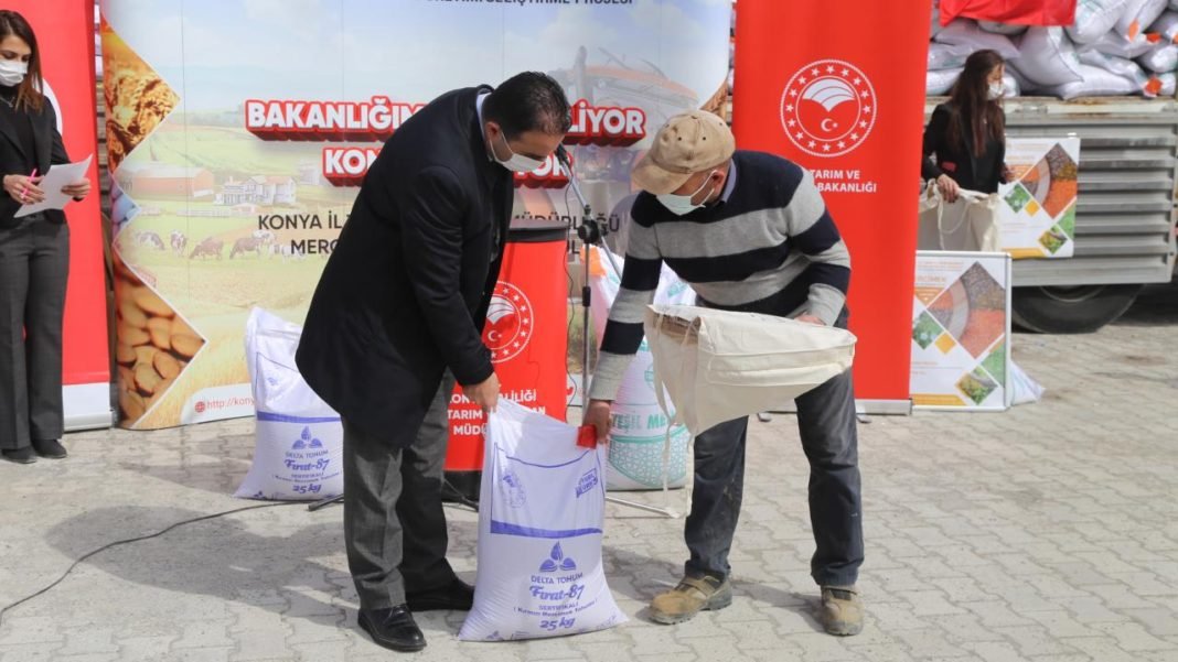 Konya’da çiftçilere sertifikalı yerli mercimek tohumu dağıtıldı