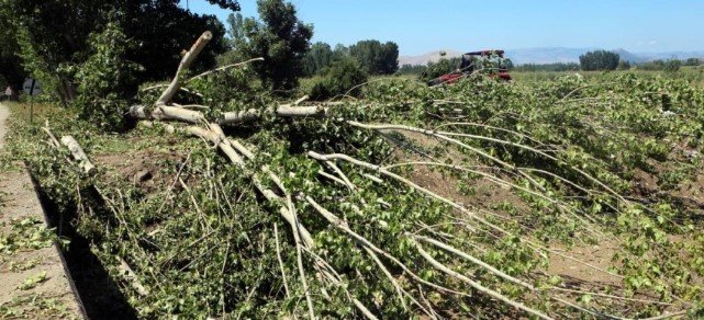 Tokat'ta kuvvetli rüzgar: Tarım arazileri zarar gördü Kaynak: Tokat'ta kuvvetli rüzgar: Tarım arazileri zarar gördü